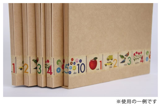 mtのマステ  ex 数  サイズ：幅30mm×長さ10m