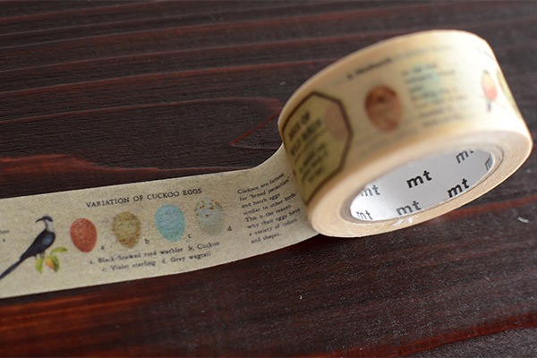 mtのマステ  ex 鳥の卵  サイズ：幅21mm×長さ10m