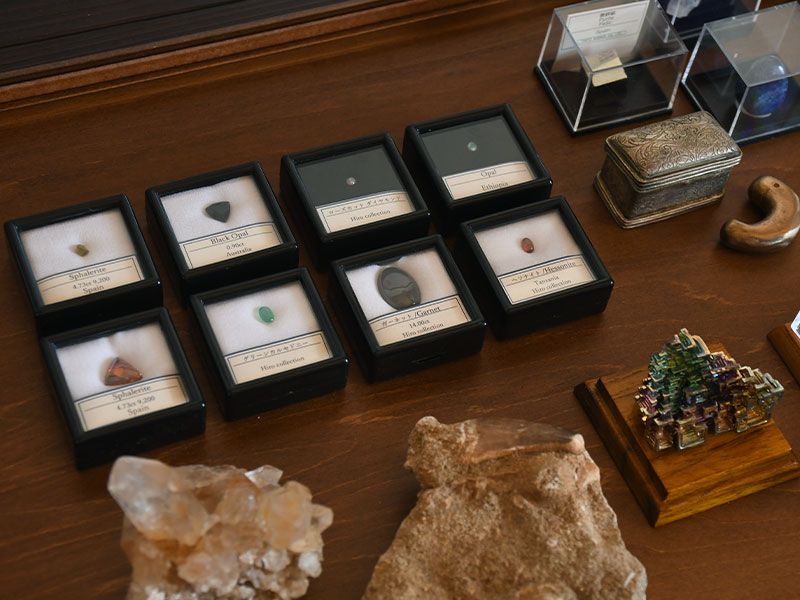 ルースケース(4㎝)標本ラベル付