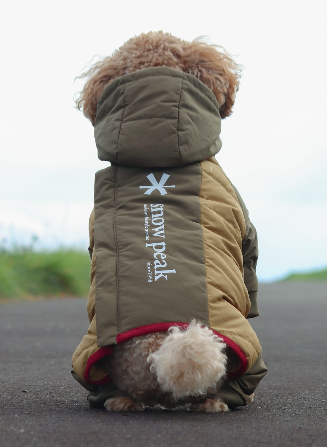 スノーピーク SP Dog Down Jacket 3L Amenitydome Snow Peak(スノーピーク)SP Dog Down Jacket(SP ドッグ ダウン