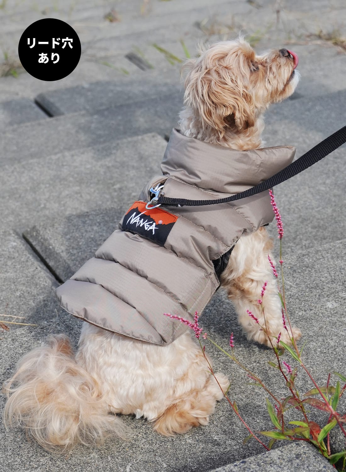 ペット用一覧 | 正規取扱店 MOONLOID(ムーンロイド)