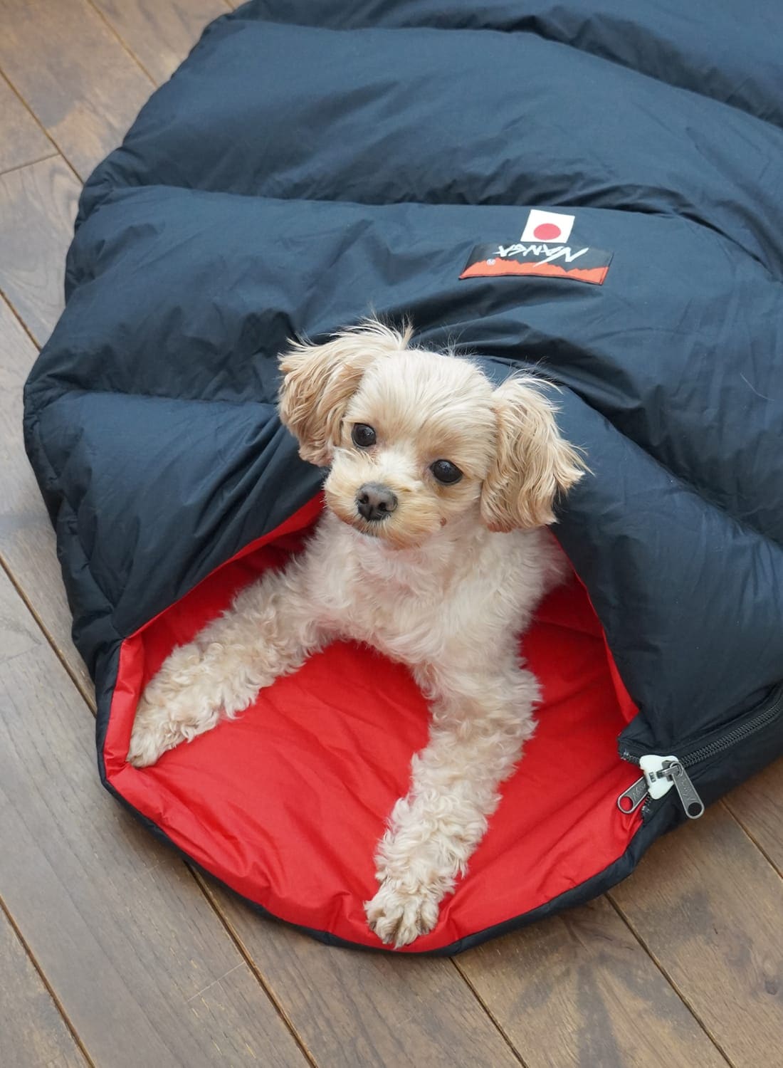 ペット用一覧 | 正規取扱店 MOONLOID(ムーンロイド)