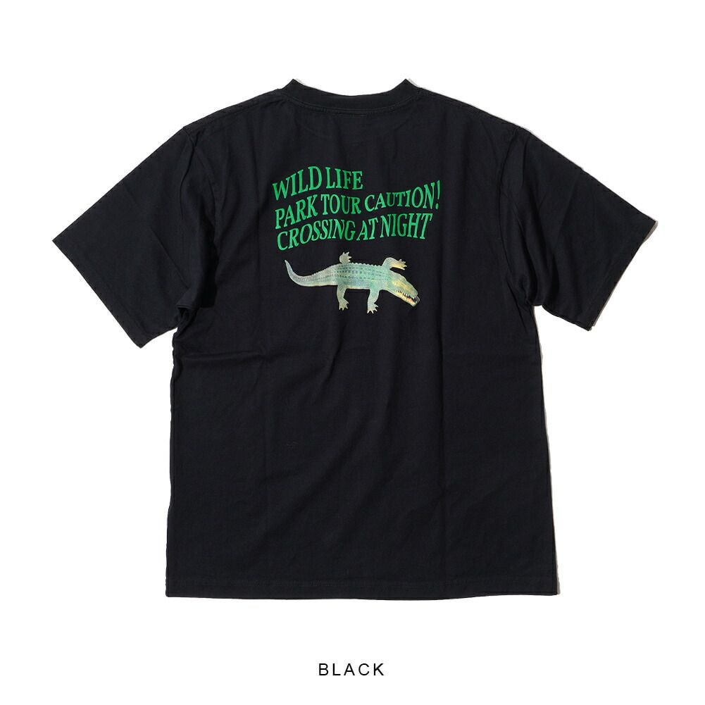 【美品】THE SHINZONE WILD PARK TOUR TEE THE SHINZONE シンゾーン ワイルドパークツアープリントTシャツ