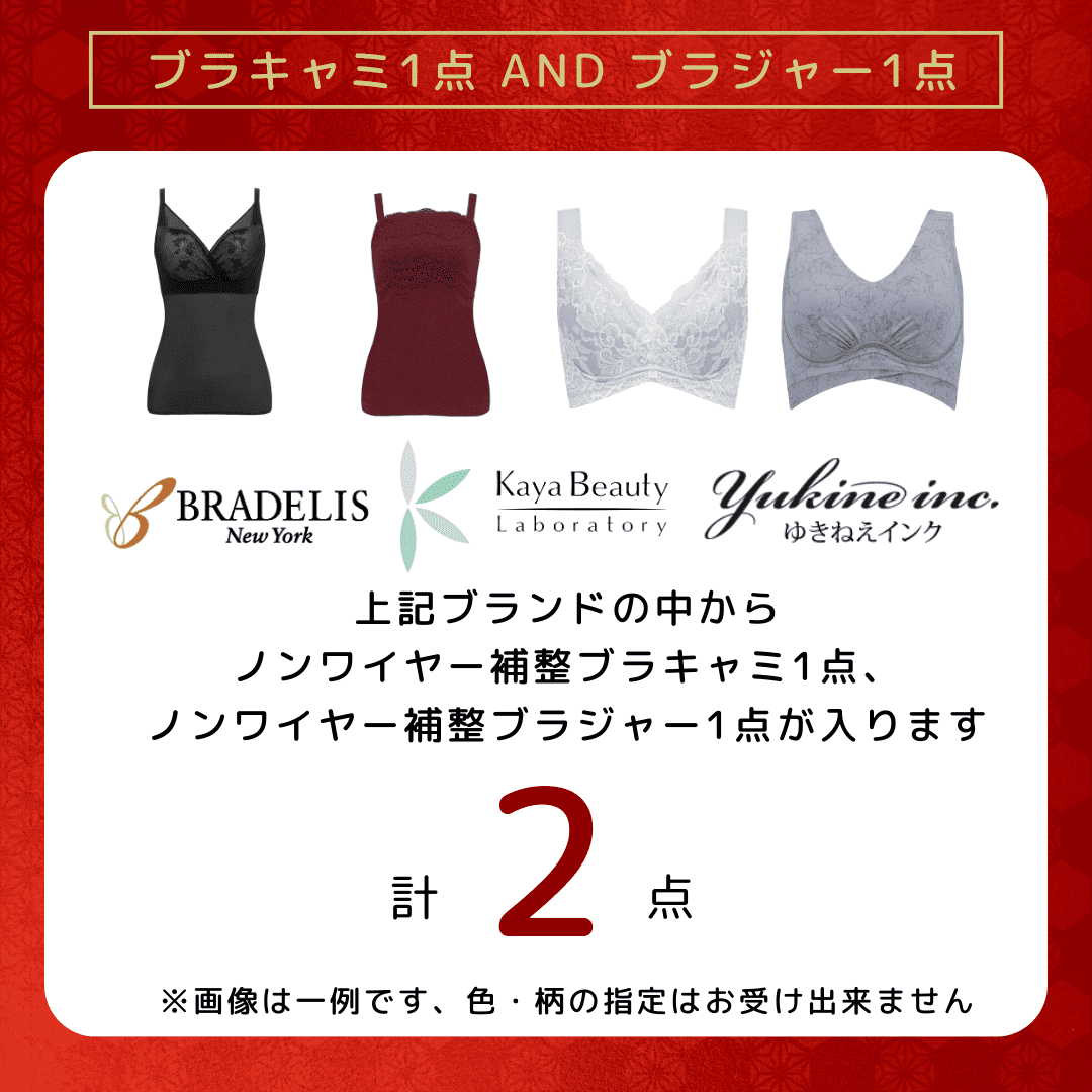 レディースインナー 福袋 5点入り 2026 新春 初春 当店限定