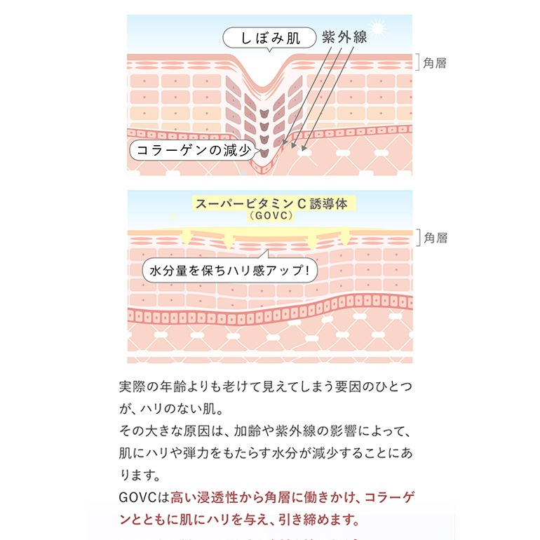 BRADELIS NEWYORK 【145ml】美容液 ブラデリススキン スキナビオ バスト&フェイスセラム
