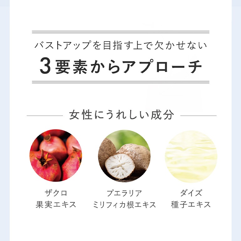 BRADELIS NEWYORK 【200g】 ブラデリススキン バストケアマッサージクリーム