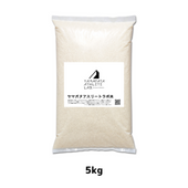 ヤマガタ アスリート ラボ米 5kg  ～スポーツの力で地域を元気に。食べて応援する「ヤマガタアスリートラボ米」～　