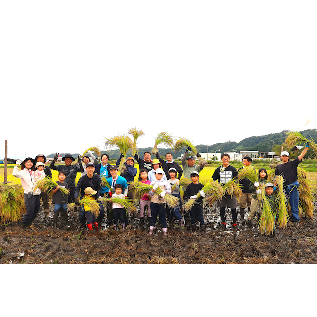 ヤマガタアスリートラボ米 2kg ～スポーツの力で地域を元気に。食べて応援する山形の「アスリート米」～