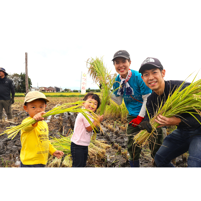 ヤマガタ アスリート ラボ米 5kg  ～スポーツの力で地域を元気に。食べて応援する「ヤマガタアスリートラボ米」～　