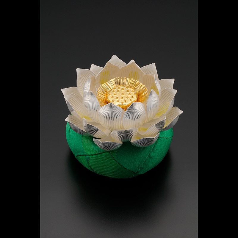 ��§ ��� ϡ��������3.0��