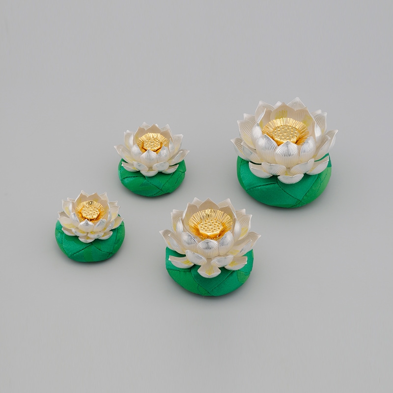 ��§ ��� ϡ��������2.5��