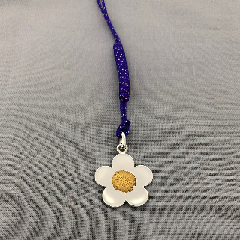 ���������ա�����