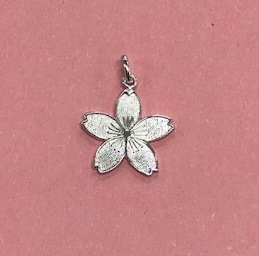 ���������ա���