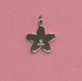 ���������ա���