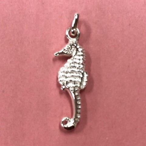 ������ε����Ȥ���