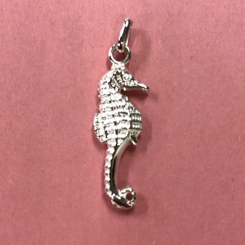 ������ε����Ȥ���