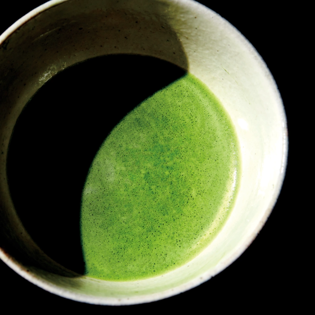 森半 裏千家御家元御好み<宇治抹茶 薄茶> 月輪乃白(げつりんのしろ