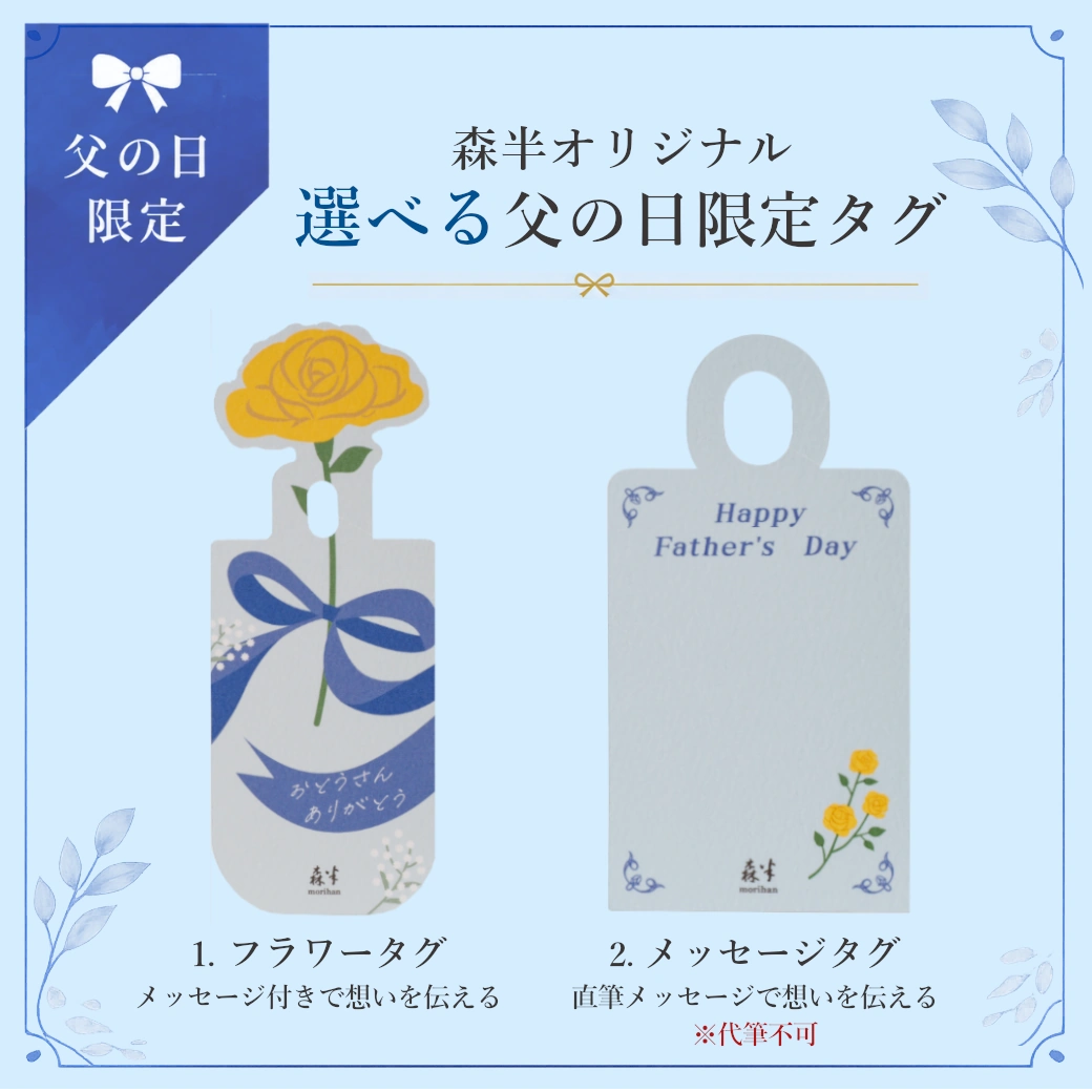 森半 父の日ギフトセットA [ 氷茶 水出し煎茶 [8P入り]＆森半