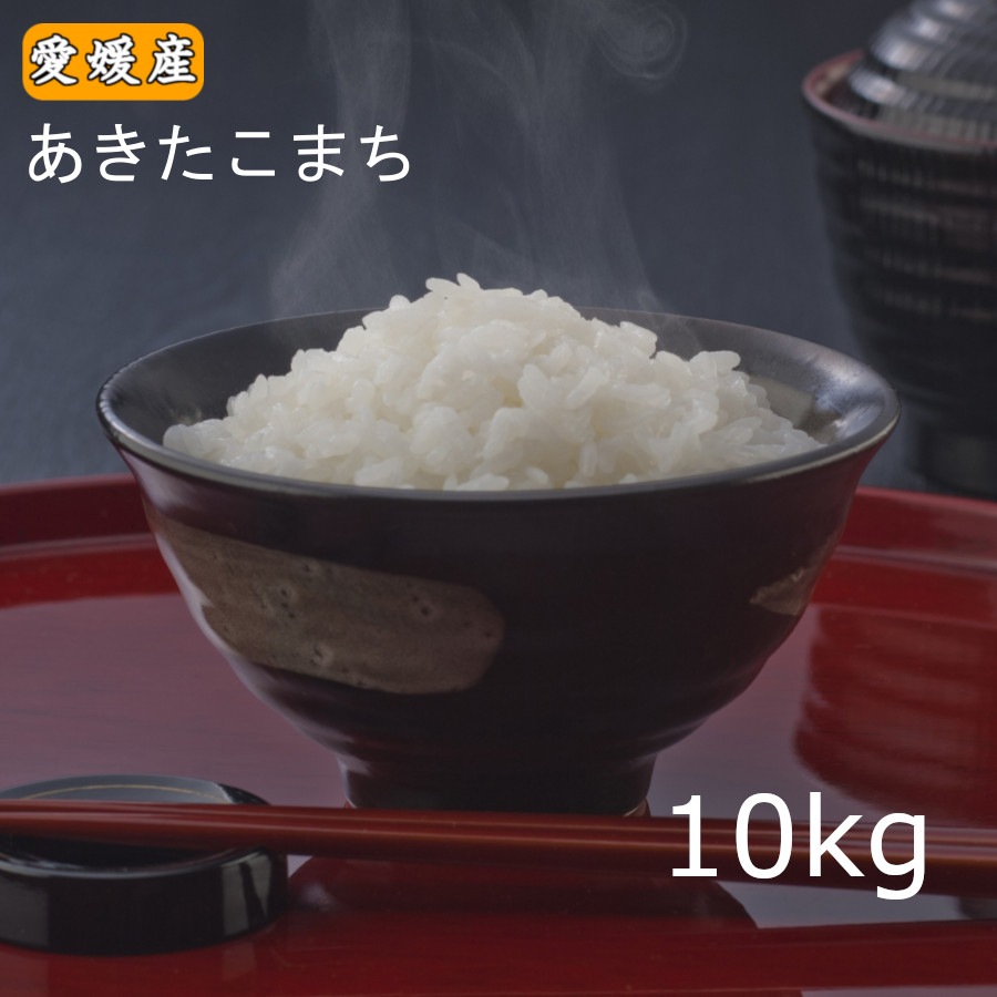 米 お米 10キロ 「愛媛県産 あきたこまち 10kg」 令和5年産 送料無料 ※北海道.東北.沖縄は地域別送料加算-お米のもりかわ