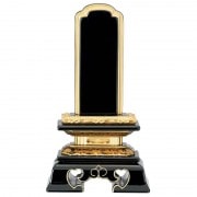 �ڥץ�ߥ��ॻ�쥯�����۽���ʴ�����׾������硡Ϥ������Ȣ�����ʸ��Ħ��1̾��̵����