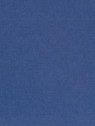 ˎߎǤ» No.119  Ӥ礦 65g/ A4(10)