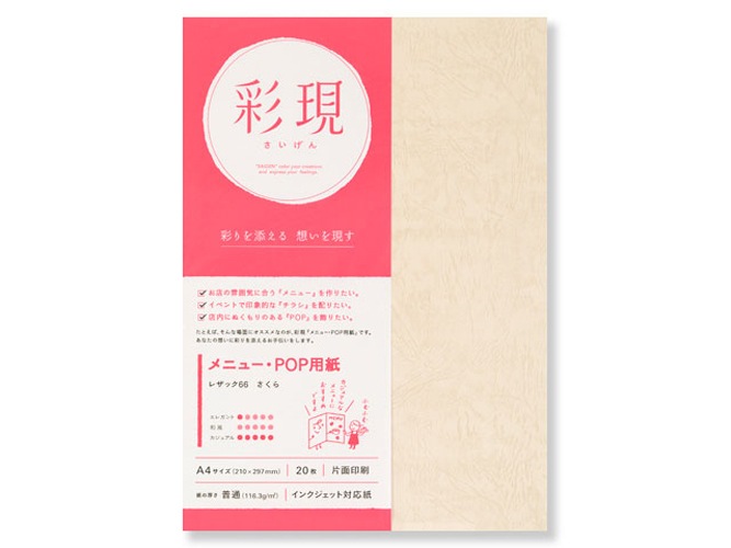 �̸����쥶�å�66�������顡A4�ʣ������1742162