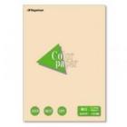 Ĺ粰 顼ڡѡ -2315 B4  ܥ꡼  100