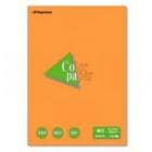 Ĺ粰 顼ڡѡ -2318 B4    100