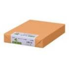 ����500��|Ĺ�粰 ���顼�ڡ��ѡ� ��-2368 B4 ���� ����� 