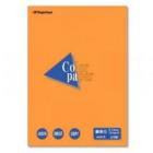 ߡĹ粰 顼ڡѡ -3518 A4 Ǹ  25  