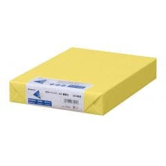 ����250��|Ĺ�粰 ���顼�ڡ��ѡ� ��-3555 A4 �Ǹ��� �� 