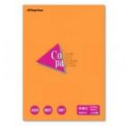 ߡĹ粰 顼ڡѡ -4218 B5    100