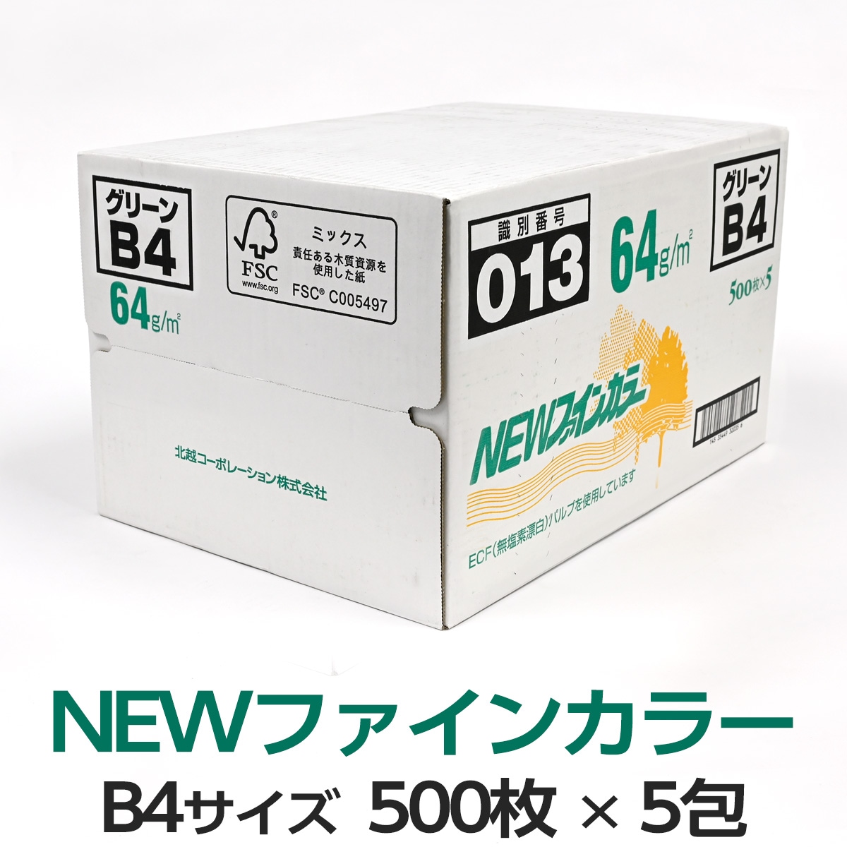 5񥻥åȡ̱ۥݥ졼 NEWե󥫥顼 B4 ꡼ 5005