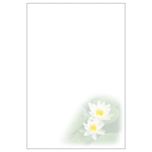 喪中はがき インクジェット 白蓮(30枚) 郵便枠グレー ハート PJG681 m