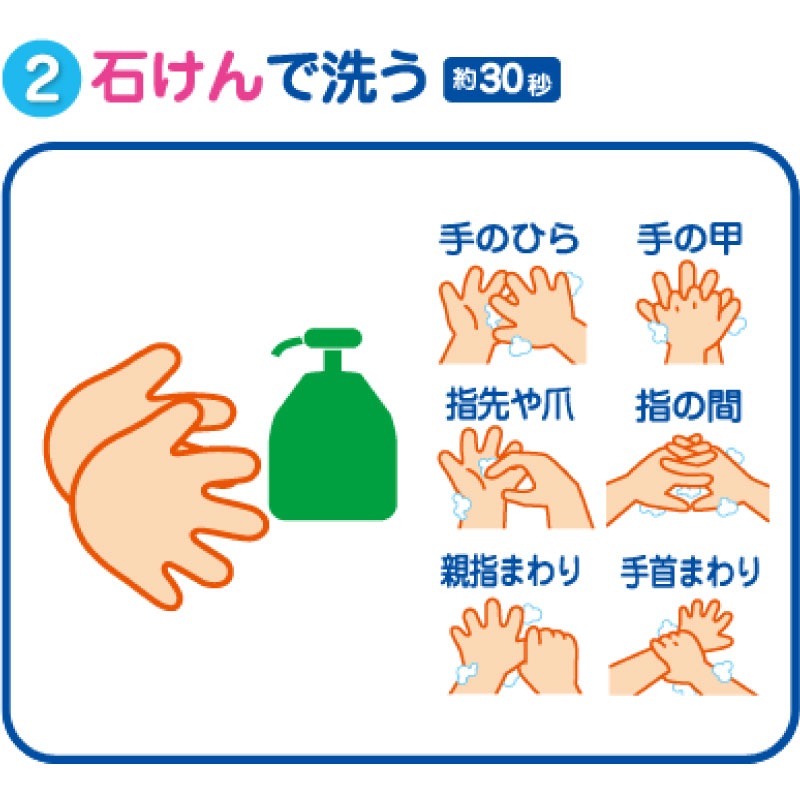 ����������������� ���Ƥƥݥ� �ԥ� ������ϥ� ZHT-A2/H-02