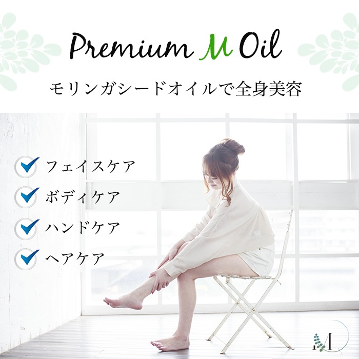 ������¤�ץ�ߥ���M������(1�ܡ˥��󥬥����ɥ�����