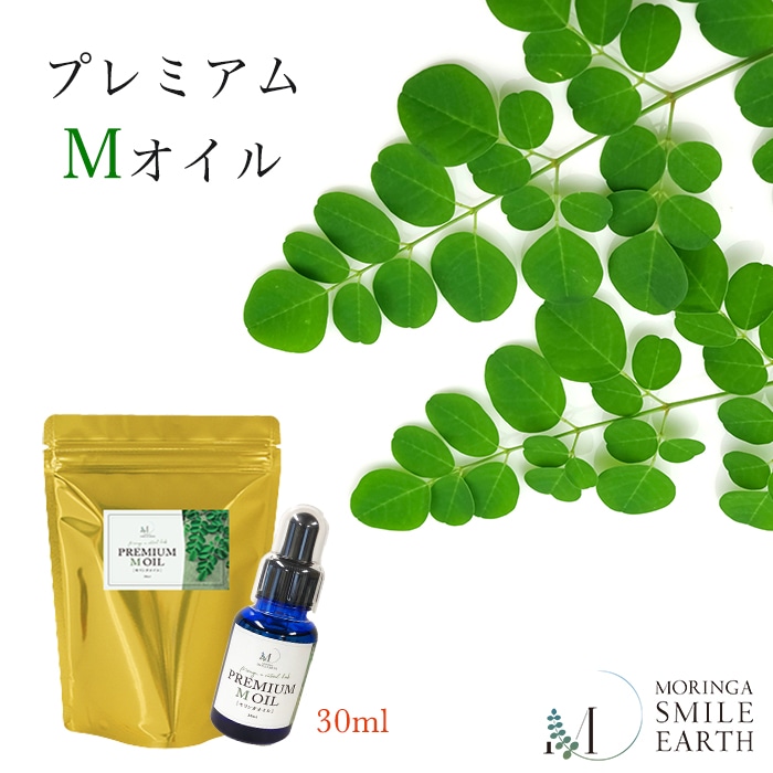 ������¤�ץ�ߥ���M������(2�ܡ˥��󥬥����ɥ�����