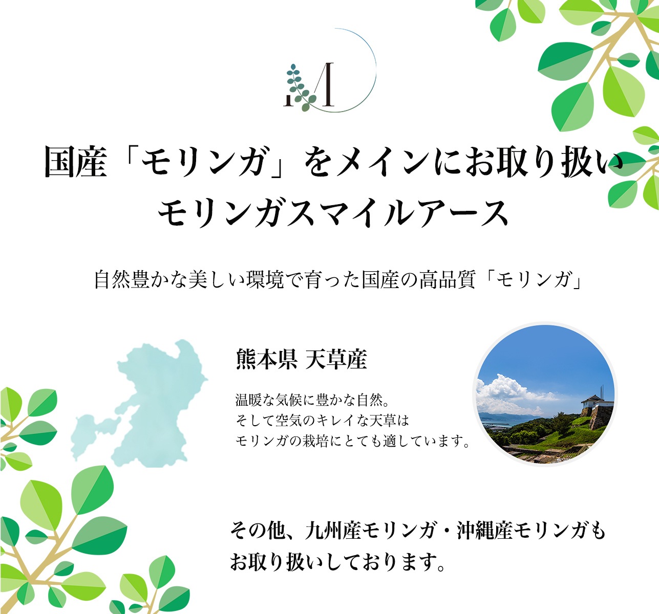 ŷ��100����󥬥ϡ��֥ƥ�����2�ޡ�