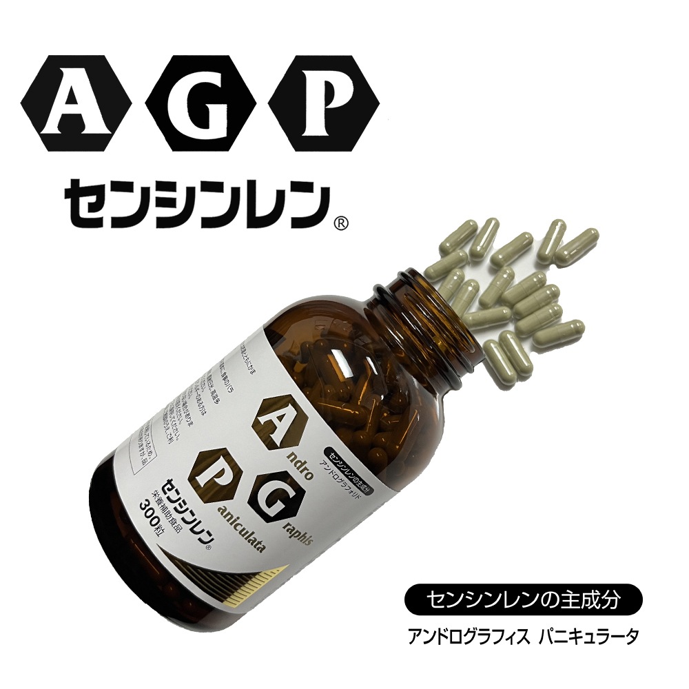 �ðۤο�ʪ�֥��󥷥���ץ��ץ����300γ��2��