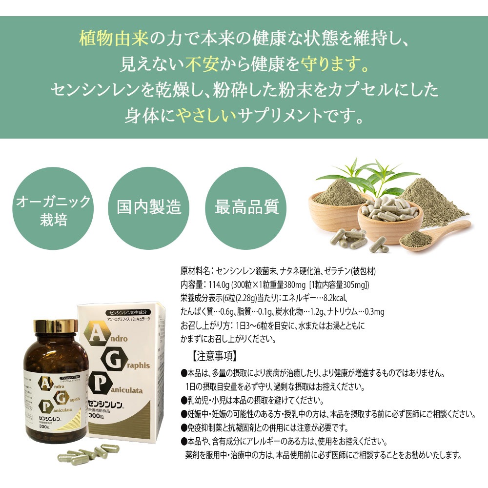 �ðۤο�ʪ�֥��󥷥���ץ��ץ����300γ��2��