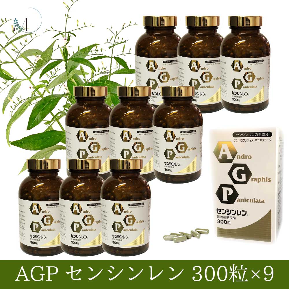 �ðۤο�ʪ�֥��󥷥���ץ��ץ����300γ��9��