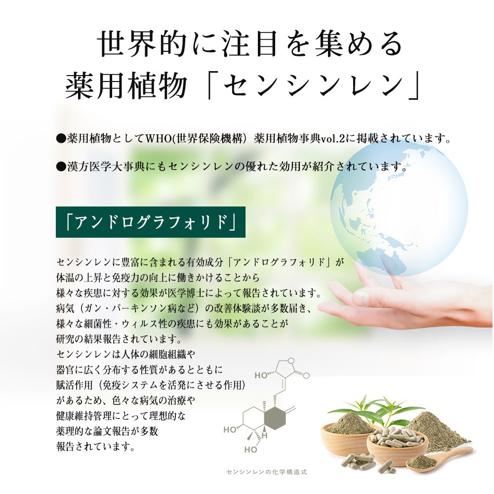 �ðۤο�ʪ�֥��󥷥���ץ��ץ����300γ��9��