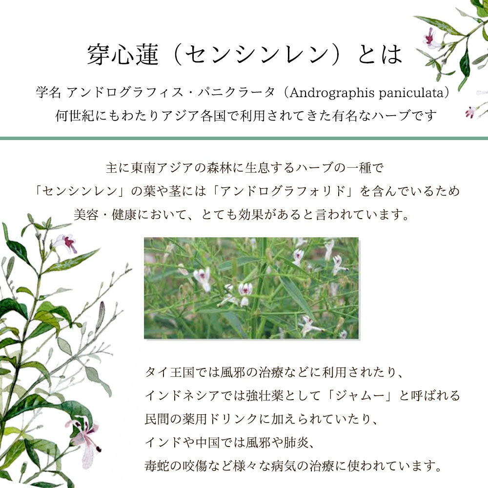 �ðۤο�ʪ�֥��󥷥���ץ��ץ����30γ