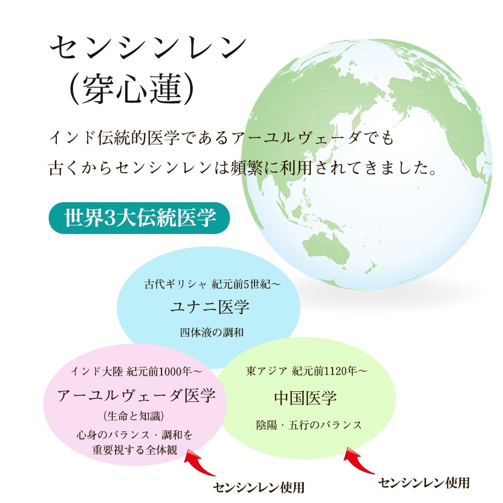 ðۤοʪ֥󥷥ץץ120γ