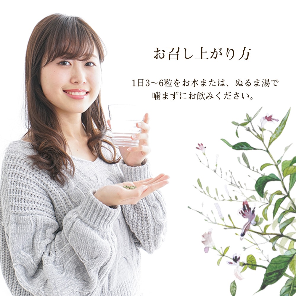 ðۤοʪ֥󥷥ץץ120γ