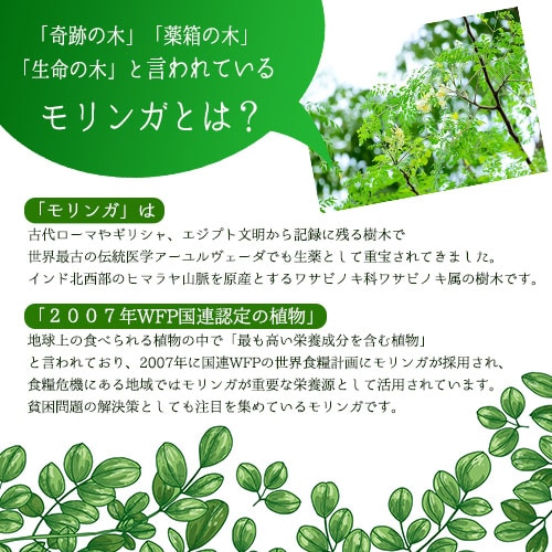 ������ء�ŷ��100����󥬻��ѥ饯�ƥå�(1��)