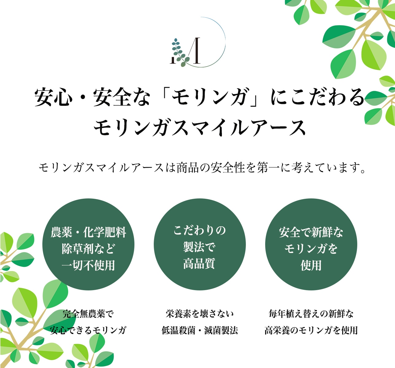 �����󥬥��ץ����240γ(3�ޡ�