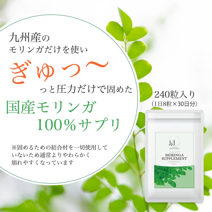 ������ءۿ����󥬥��ץ����240γ(1��)