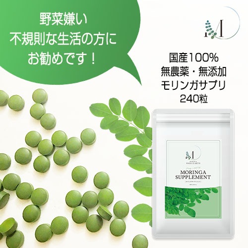 ������ءۿ����󥬥��ץ����240γ(1��)