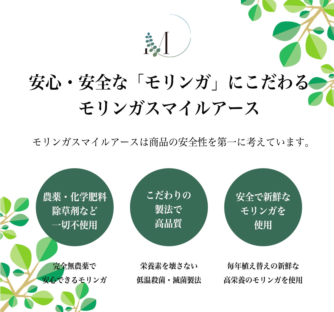 �����������ݥץ饹���ץ���ȡ�1�ޡ�